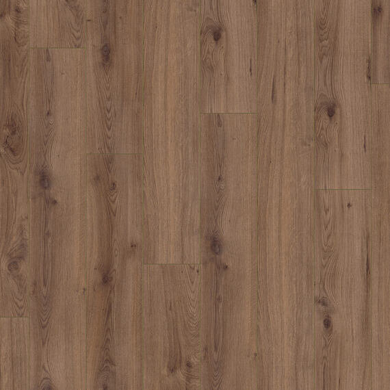 HOMEline Laminatboden 3698 - Oak Intense V4 AS VE: 2,13 qm