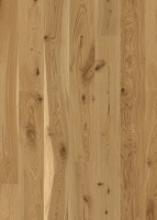 JOKA Parkett Calgary 535 LD E5010 Eiche geschl. VILLA...