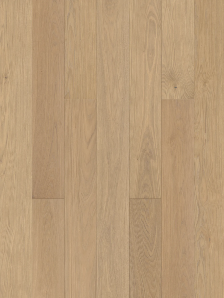 JOKA Parkett Calgary 435 LD E0214 Eiche creme ELEG.220 ÖLV4 3-S Landhausdiele mit PRO-Connect-System 5G  (VE:2,44 qm)