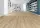 JOKA DESIGN 555 Dryback 5308 Perf.Ivory Oak 22,86x150cm (3,43 qm)
