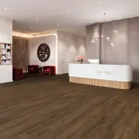 JOKA DESIGN 555 Evolut Klebe 5916 Chestnut Oak EIR...