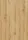 JOKA DESIGN 555 Evolut Klebe 5913 Golden Oak 132x19,6cm (3,62 qm)